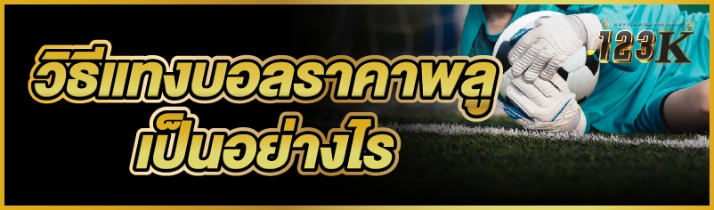 วิธีแทงบอลราคาพลู เป็นอย่างไร