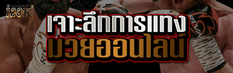 เจาะลึกการแทง มวยออนไลน์