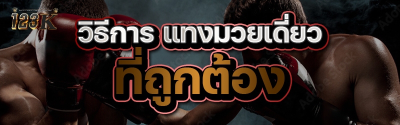 วิธีการ แทงมวยเดี่ยว ที่ถูกต้อง